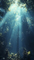 Sunlight Streaming Through Forest Canopy in Atmospheric Scene