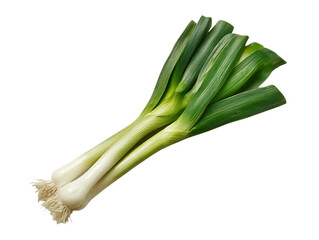  Leek growing tips for home gardeners