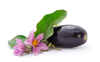 Eggplant fruit with flower isolated