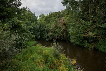 A tranquil scene of the River Fane in County Monaghan, Ireland, featuring flowing water and a lush riparian forest evoking serenity and natural beauty in the Irish countryside
