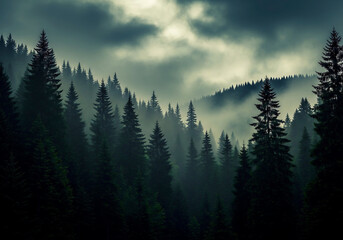 Eerie and Misty Pine Forest Landscape with Dark Clouds and Atmospheric Fog at Dusk