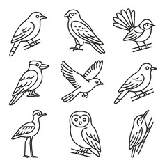 Fototapeta premium Australian Bird Icons. Line style icons of Australian birds: eastern koel, brown falcon, grey fantail, blue-winged kookaburra,