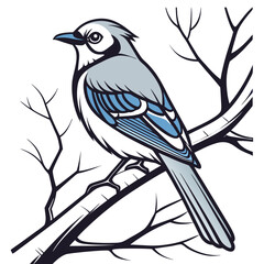 Bird on a branch on white background