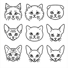 Kitten Breed Iconography. Outline style icons of Kitten Breed Heads: baby Maine Coon, fluffy Ragdoll kitten, small-eared Scottish