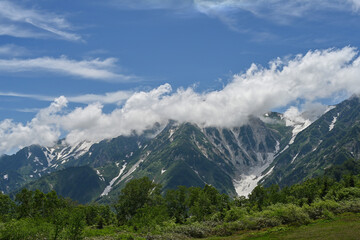 Fototapeta premium 夏の栂池自然園と残雪の白馬の山々／長野県