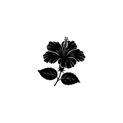 silhouette of a plant