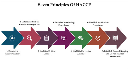 Seven Principles Of HACCP model. Infographic template with icons and description placeholder