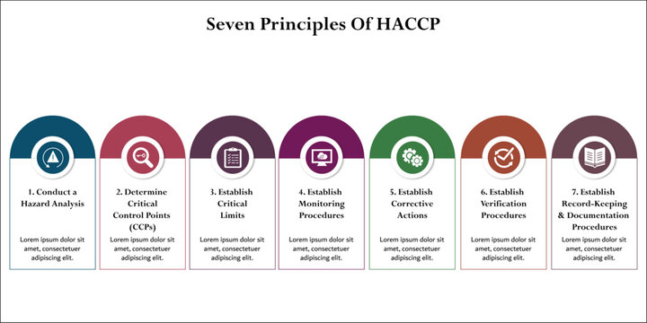 Seven Principles Of HACCP model. Infographic template with icons and description placeholder