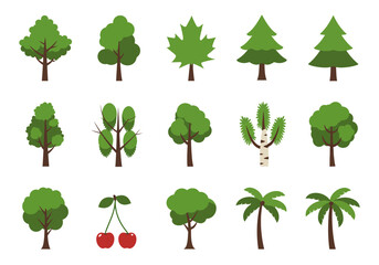 Collection of 15 illustrations mostly trees including maple cherry and palm trees