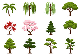 Image of 12 diverse trees a palm weeping willows maples cherry blossom pine and broadleaf varieties