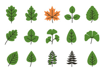 Leaf illustration set with varied shapes and colors on a white background