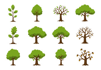 Twelve cartoon trees are depicted in various stages of growth and foliage arranged in a grid pattern © Chico Store