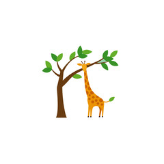 giraffe reaching for leaves on tall tree