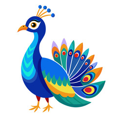 peacock isolated on white