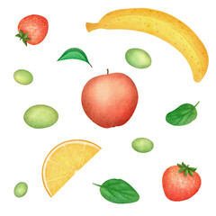 Set of watercolor fresh fruit isolated illustrations. Clipart of healthy food. Hand drawn sketch sweet harvest.