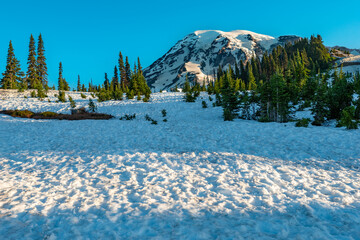 The pristine wilderness of Mount Rainier National Park, Washington, with a stunning snow-covered mountain dominating the landscape.