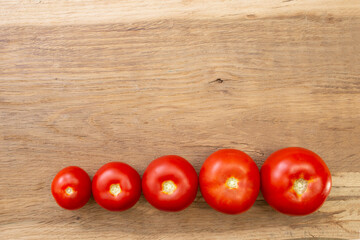 Ripe tomato fruits increasing in size and arranged in a row on textured wood background, flat lay close up