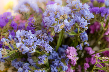 Bouquet of multicolored flowers close up texture (Limonium sinuatum, Statice sinuata) in a Variety of colors blue, lilac, violet, pink, yellow colors