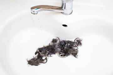 Cut hair clogging a white ceramic sink with a stainless steel faucet, abstract backdrop