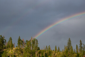 Beautiful rainbow over a forest mountain peak and rainy dark clouds, sunset after the storm