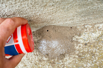 Male hand pouring anti ants insecticide powder on an ants nest made in a house footing joint, soft focus close up