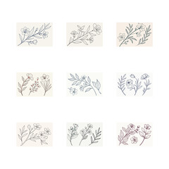 Minimalist Botanical Line Art Set Delicate Leaves and Flowers