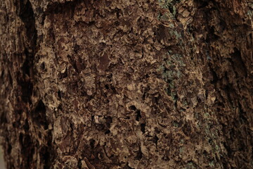 Light house park (13 abril 2022)
