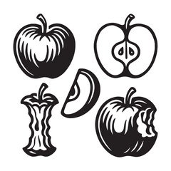 Apple variations engraving black on white vector illustration

