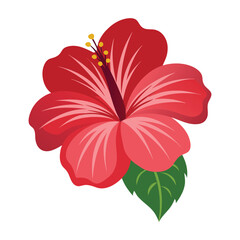 Close-Up of Red Hibiscus With Green Leaf Illustration