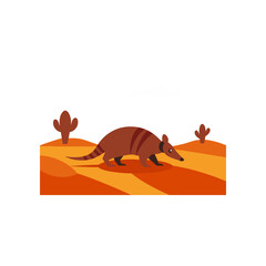armadillo crossing a dusty desert path