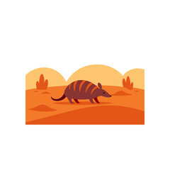 armadillo crossing a dusty desert path