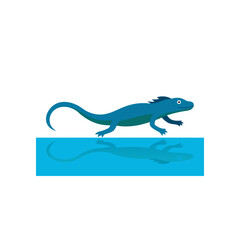 basilisk lizard running across water surface