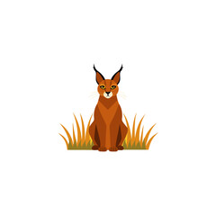 caracal cat sitting in golden grass