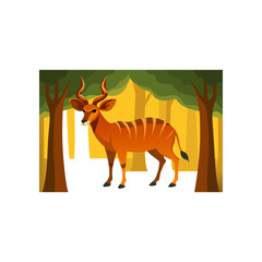 bongo antelope standing in dappled forest light