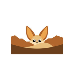 fennec fox peeking out from desert burrow