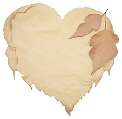 PNG Heart leaves ripped paper plant leaf