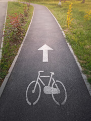 Obraz premium Marked bicycle lane in the park. Track for cyclists