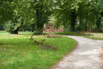 Landschaft von Park Sanssouci nach einem Sturm