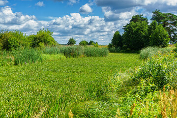 Piękno letniego dnia w Dolinie Narwi, Podlasie, Polska