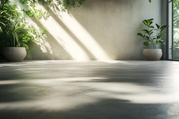 Sunlit minimalist room plants concrete floor wall greenery