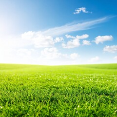 Fototapeta premium Realistic Grass Landscape Under Sunny Sky with Seamless Blend Between Ground and Sky for Outdoor Nature Background
