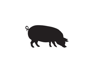 Silhouette of a pig with its head down, seemingly foraging or eating, against a plain white background.