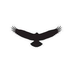 Front view flying eagle silhouette vector flat illustration design on white background