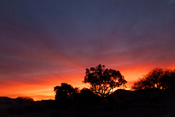 sunset over the forest