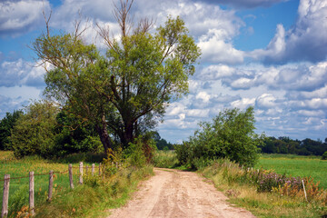 Piękno letniego dnia w Dolinie Narwi, Podlasie, Polska