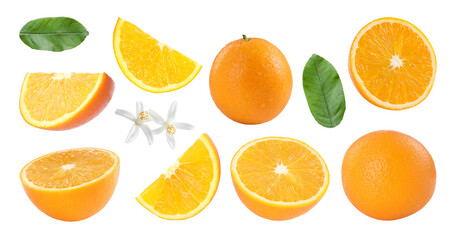 Fresh oranges, green leaves and blossoms isolated on white, set