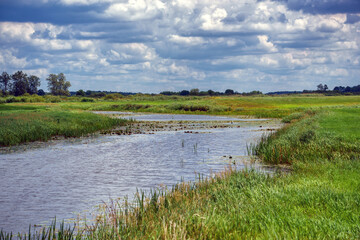 Piękno letniego dnia w Dolinie Narwi, Podlasie, Polska