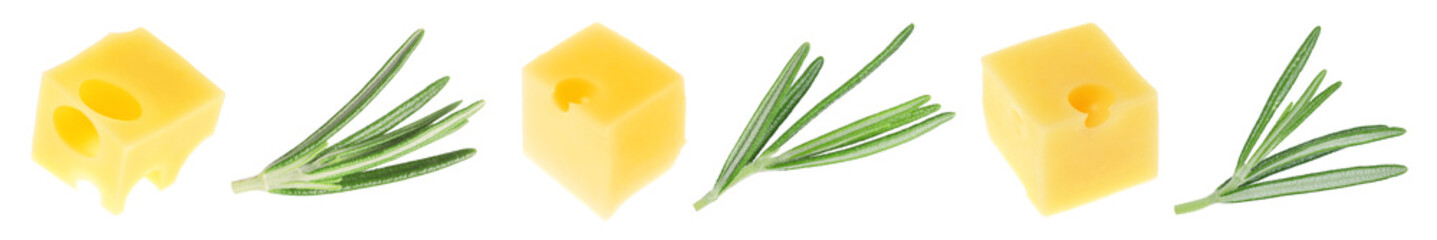 Cheese cubes and fresh rosemary isolated on white, set