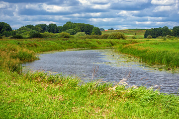 Piękno letniego dnia w Dolinie Narwi, Podlasie, Polska