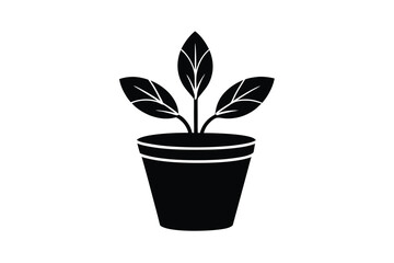 Vector art of a small green plant in a black pot, isolated a illustration